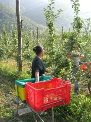 Agricoltura Biologica L'Ostal 